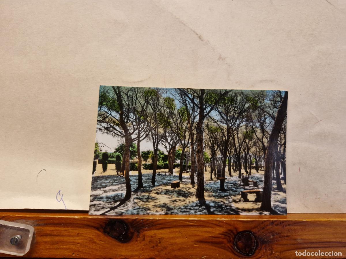 Cartoline: BONITA POSTAL CIRCULADA. CARDEDEU. PARQUE ELS PINATONS.