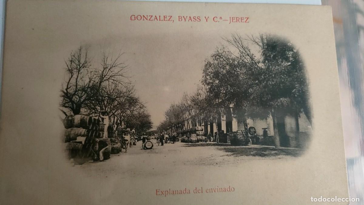 Postales: 10 POSTALES. JEREZ GONZALEZ BYASS - Foto 5