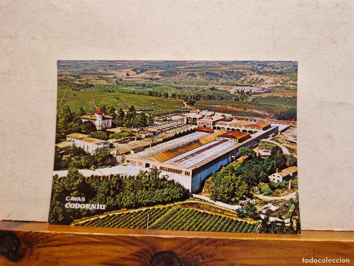 Postales: BONITA POSTAL NUEVA. CAVAS CODORNIU. - Foto 1