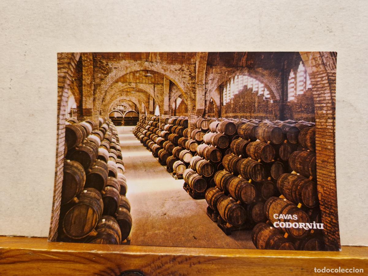 Postales: BONITA POSTAL NUEVA. CAVAS CODORNIU. BODEGA - Foto 1