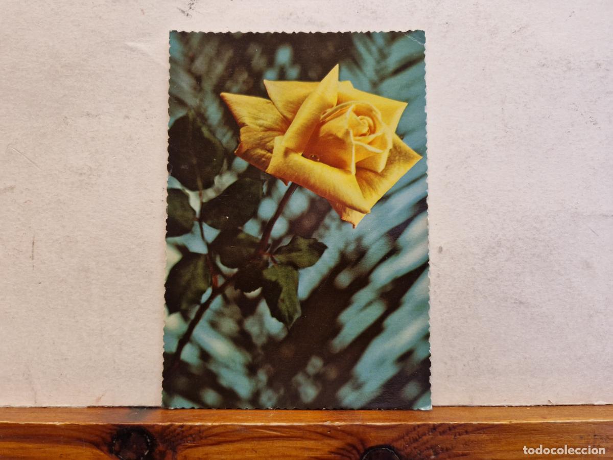Postcards: BONITA POSTAL CIRCULADA. FLOR AMARILLA