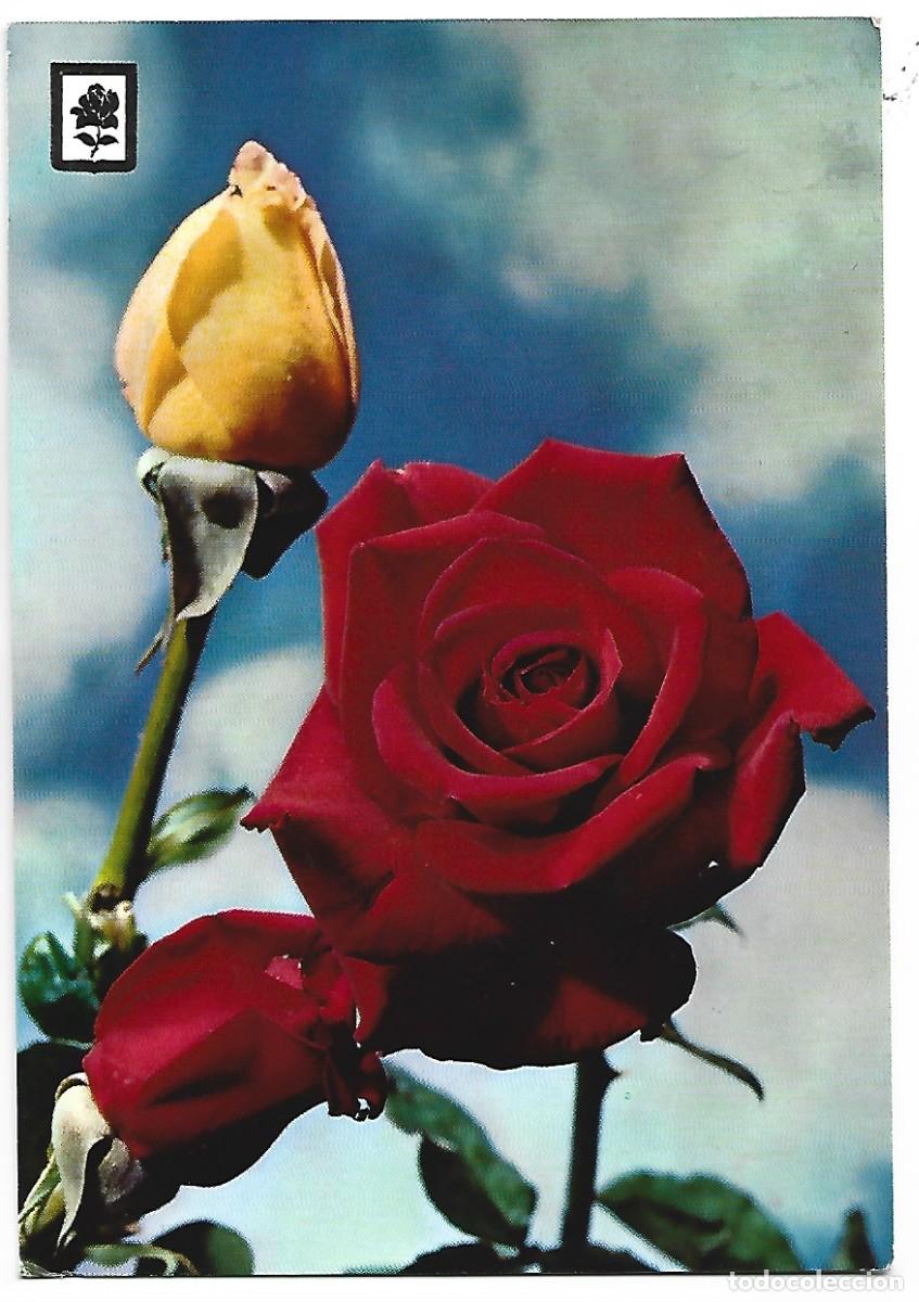 Postales: COLECCION FLORES.- RAMO DE FLORES - Foto 2