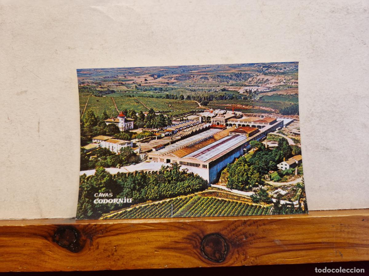 Postales: BONITA POSTAL NUEVA. CAVAS CODORNIU. - Foto 1
