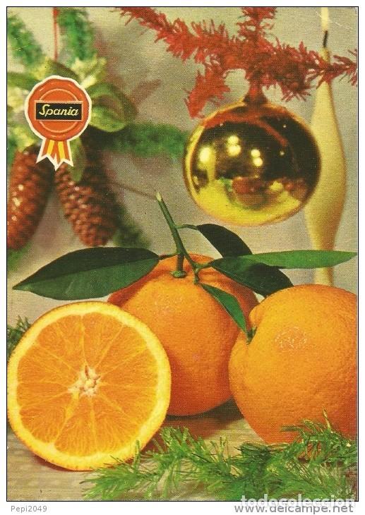 Postales: :::: PV507 - POSTAL - SPANIA - NARANJAS - Foto 1