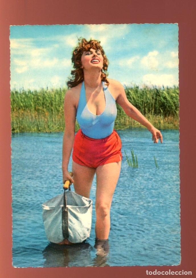 Postales: postal de sofia loren. artistas cine - Foto 1