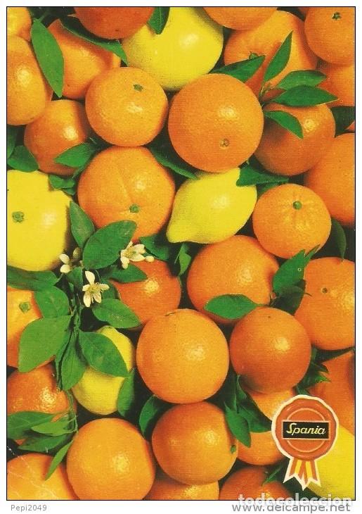 Postales: :::: PV519 - POSTAL - SPANIA - NARANJAS Y LIMONES - Foto 1