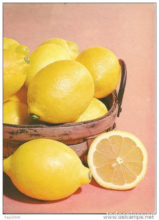 Postales: :::: PV524 - POSTAL - ESPA&Ntilde;A - LIMON - Foto 1
