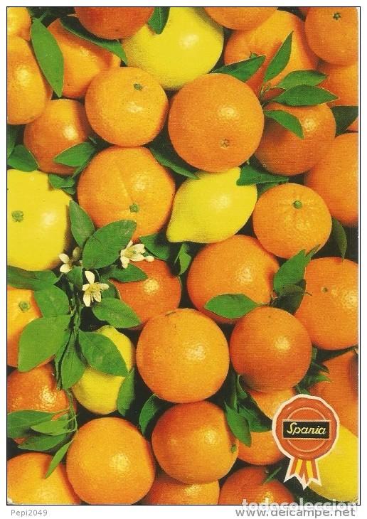 Postales: :::: PV582 - POSTAL - SPANIA - NARANJAS Y LIMONES - Foto 1