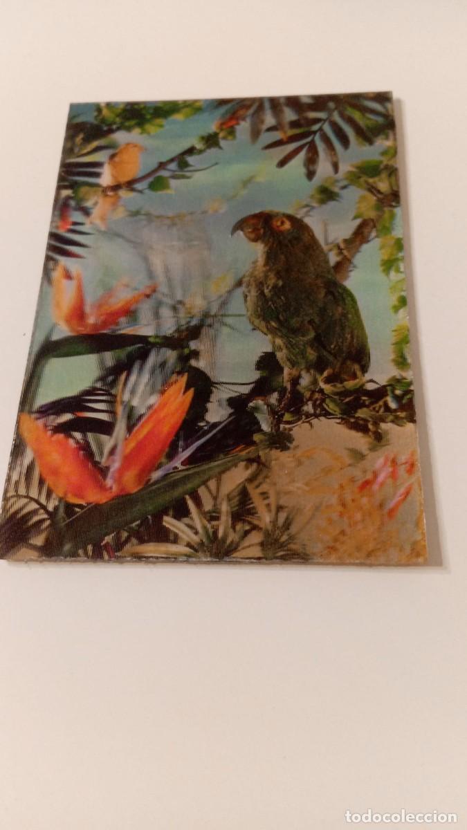 Postales: Postal 3D Loro Ref. 137 (sin escribir) - Foto 1