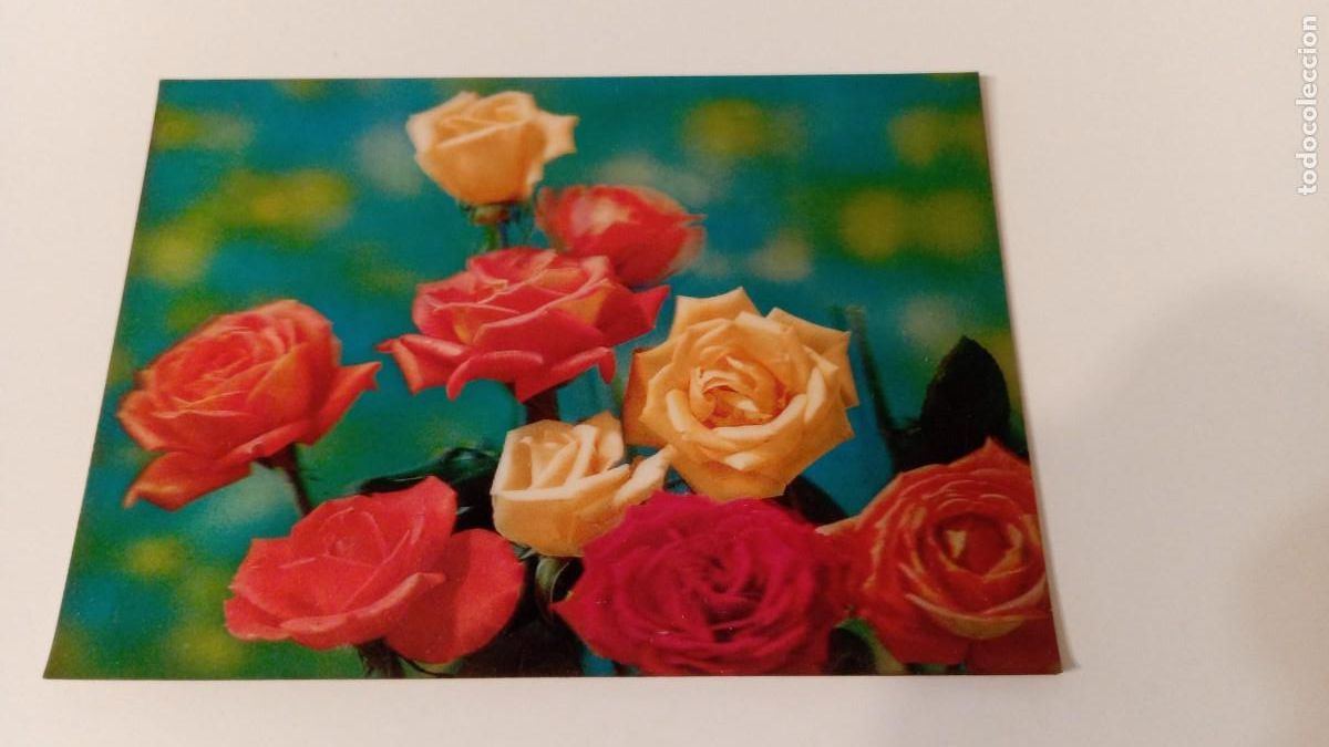 Postales: Postal 3D Eight Roses (sin escribir) - Foto 1