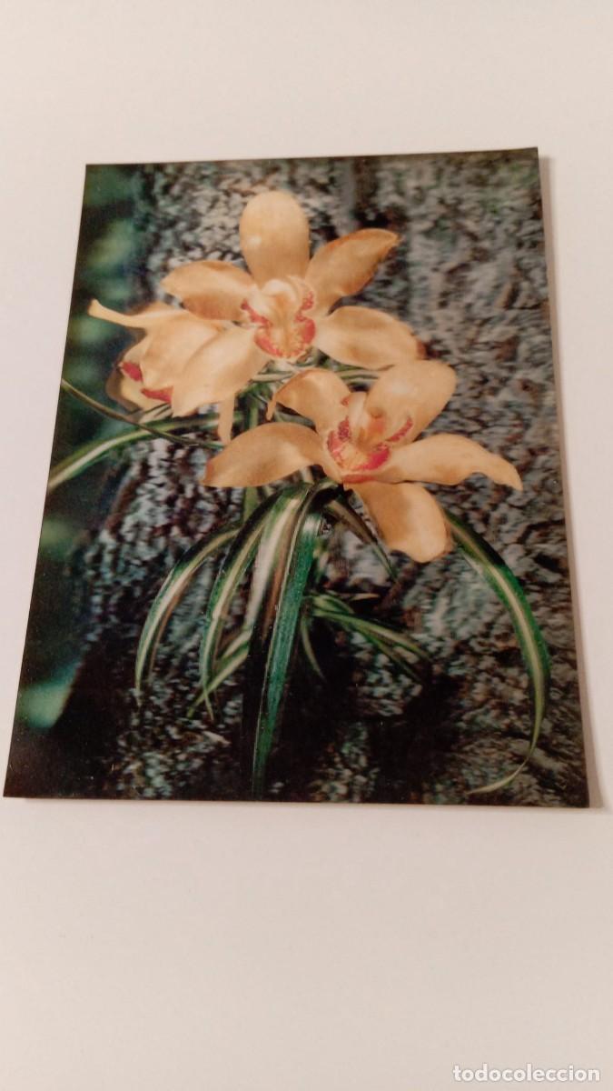 Postales: Postal 3D Orchids (sin escribir) - Foto 1
