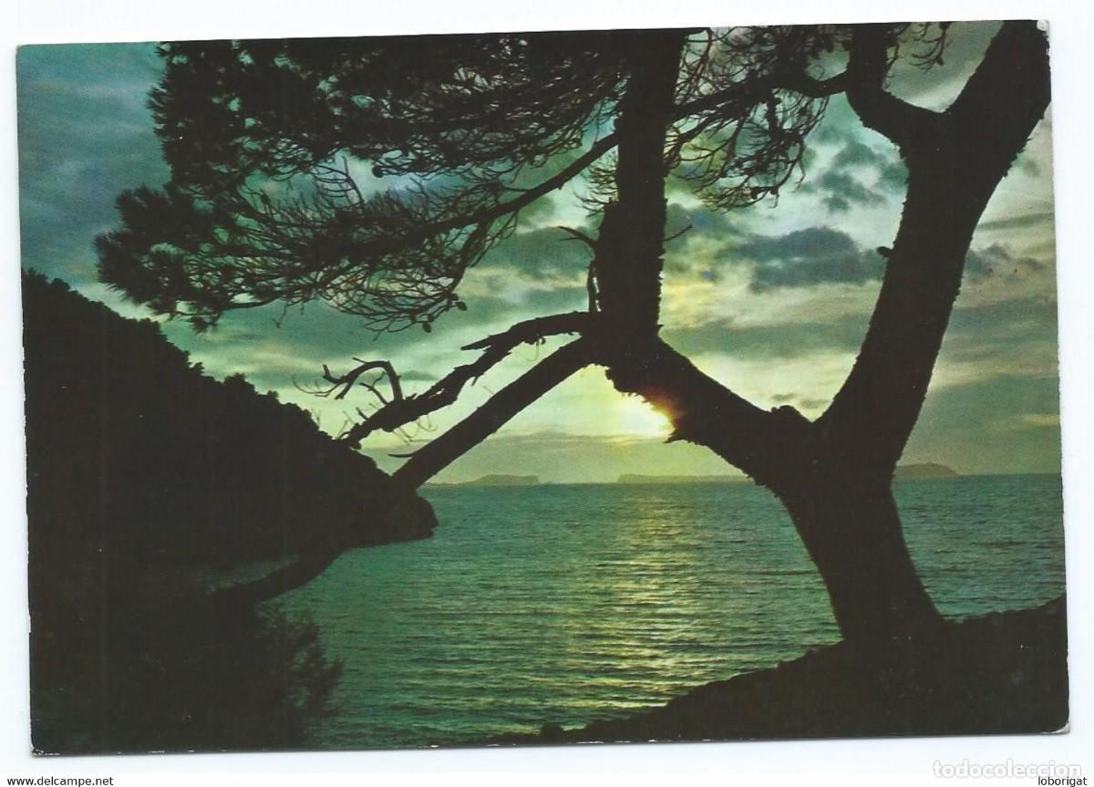 Postales: SALIDA DEL SOL - SUNRISE - Foto 1
