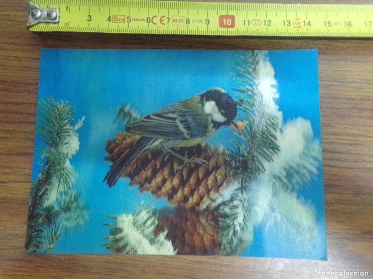 Postales: postal de pajaro en 3D Color Dept. Z&uuml;rich - Foto 1