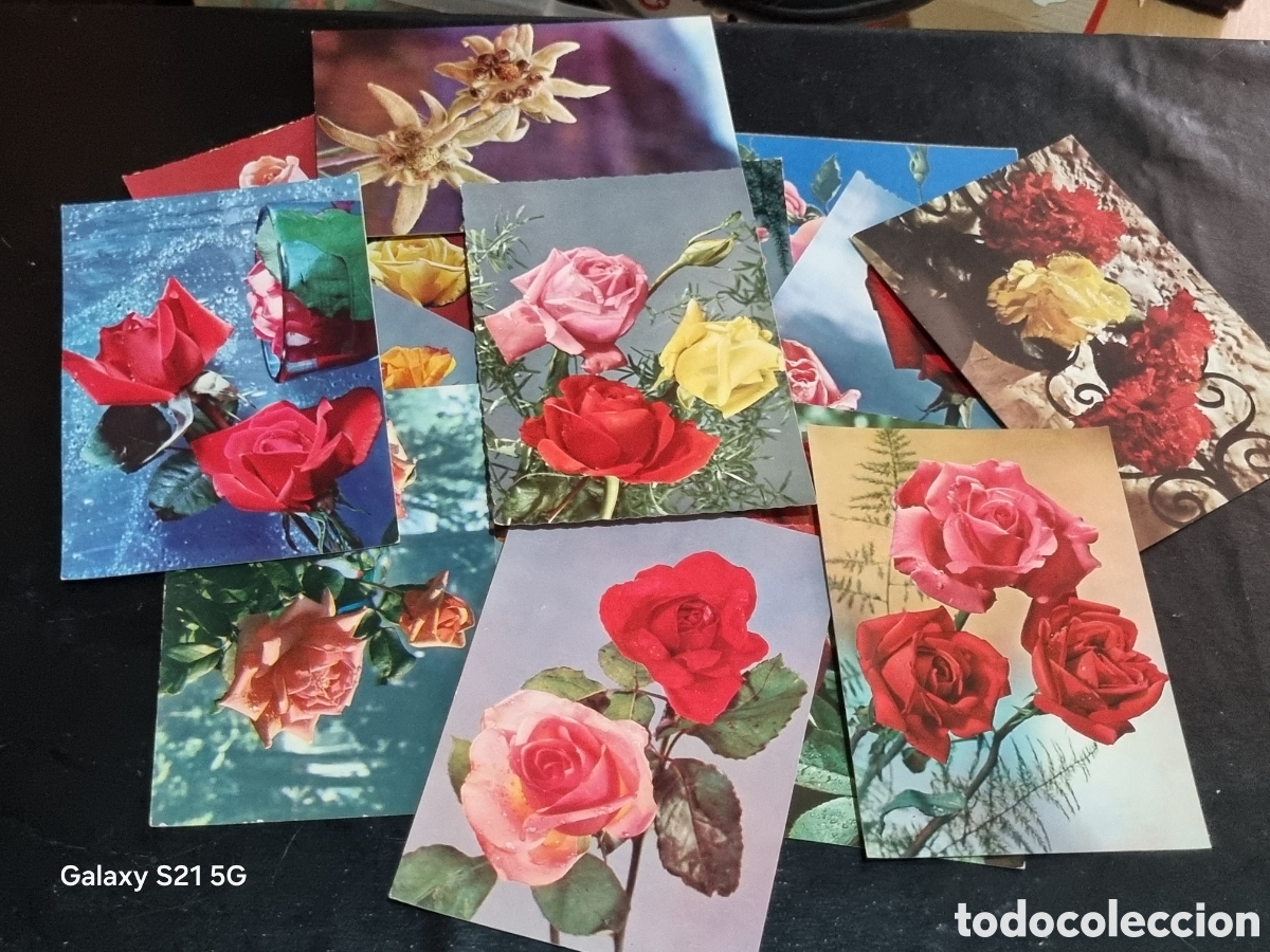 Postales: LOTE DE 14 POSTALES ROSAS CIRCULADAS - Foto 1