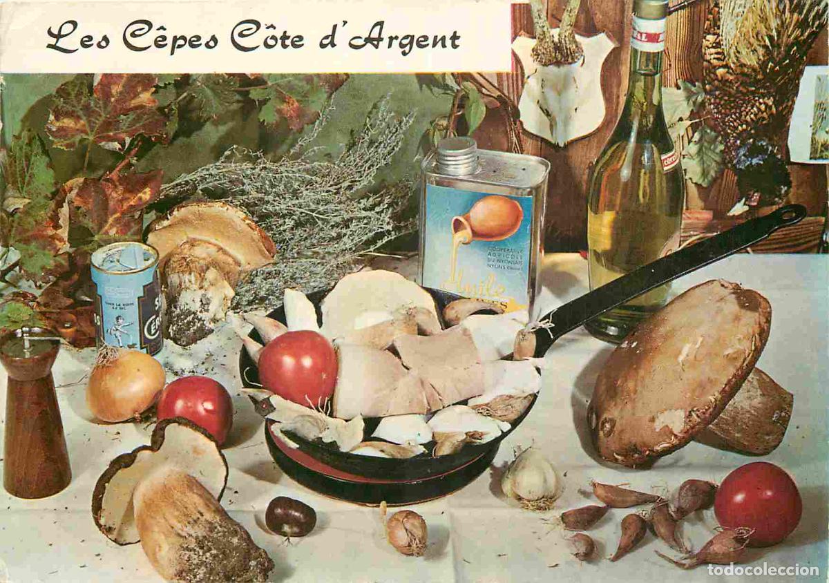 Postcards: Recettes de Cuisine - C&ecirc;tes C&ocirc;te d'Argent - Gastronomie - CPM - Voir Scans Recto-Verso