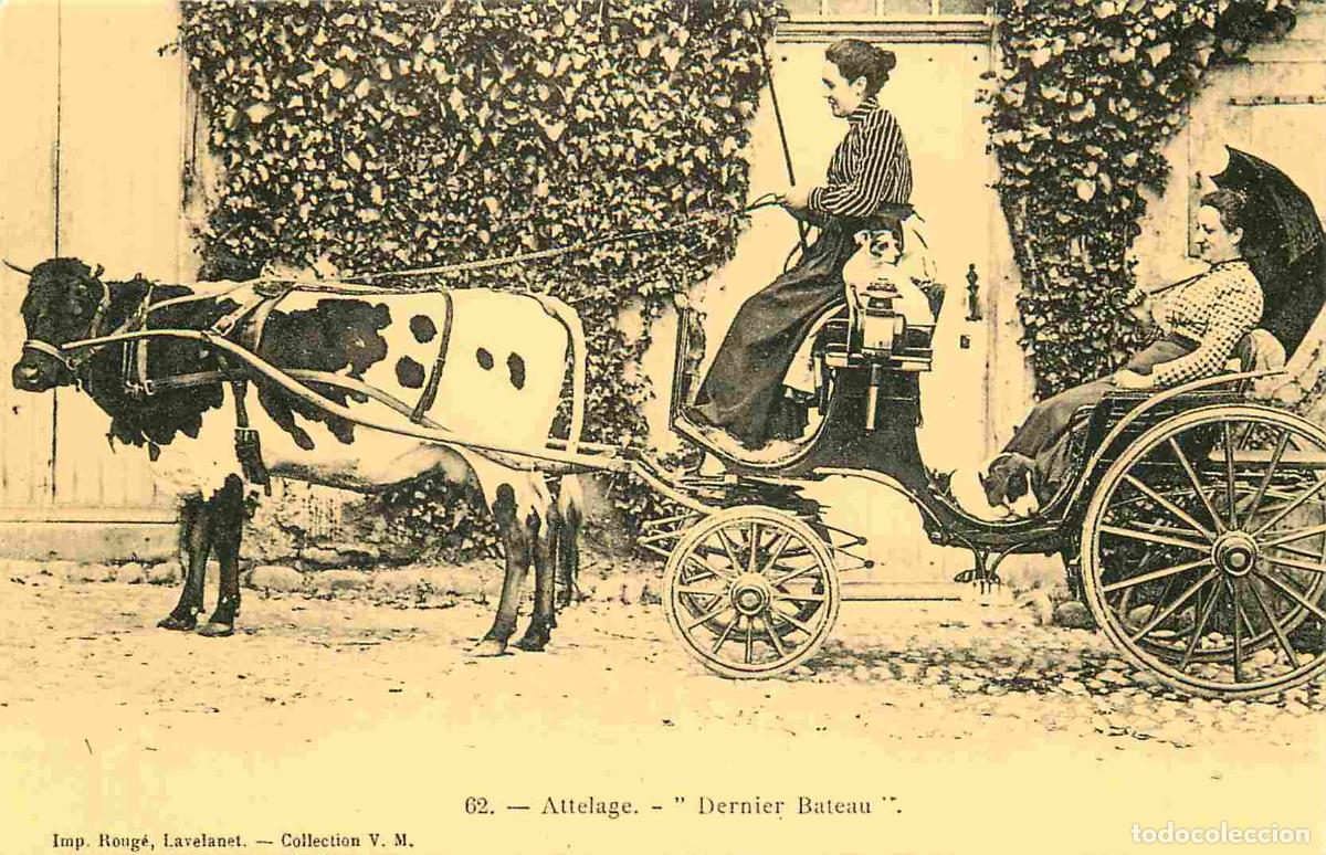 Postales: Reproduction CPA - Agriculture - Attelage - Dernier Bateau - Vaches - C'&eacute;tait la France - no 341 - C