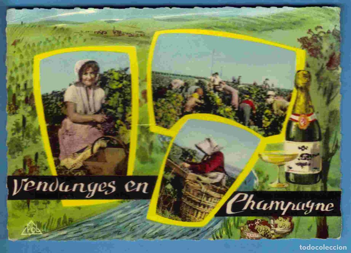 Postales: Vignes - Vendanges - Champagne - Multivues - Ecrite - Foto 1
