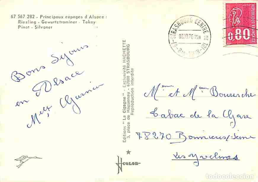 Postales: Vignes - Vendanges en Alsace - Multivues - CPM - Voir Scans Recto-Verso - Foto 2