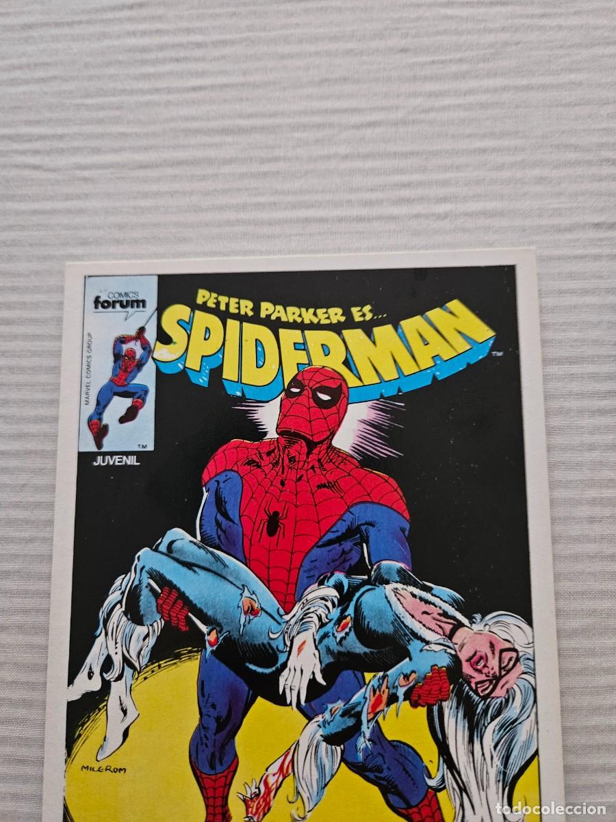 Postales: Antiguo Lote De 5 Postales Las Caratulas De Comics F&oacute;rum. - Foto 23