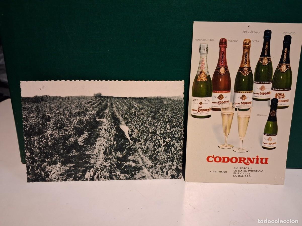 Postales: CASA CODORNIU : SOBRE CON 5 POSTALES - Foto 4