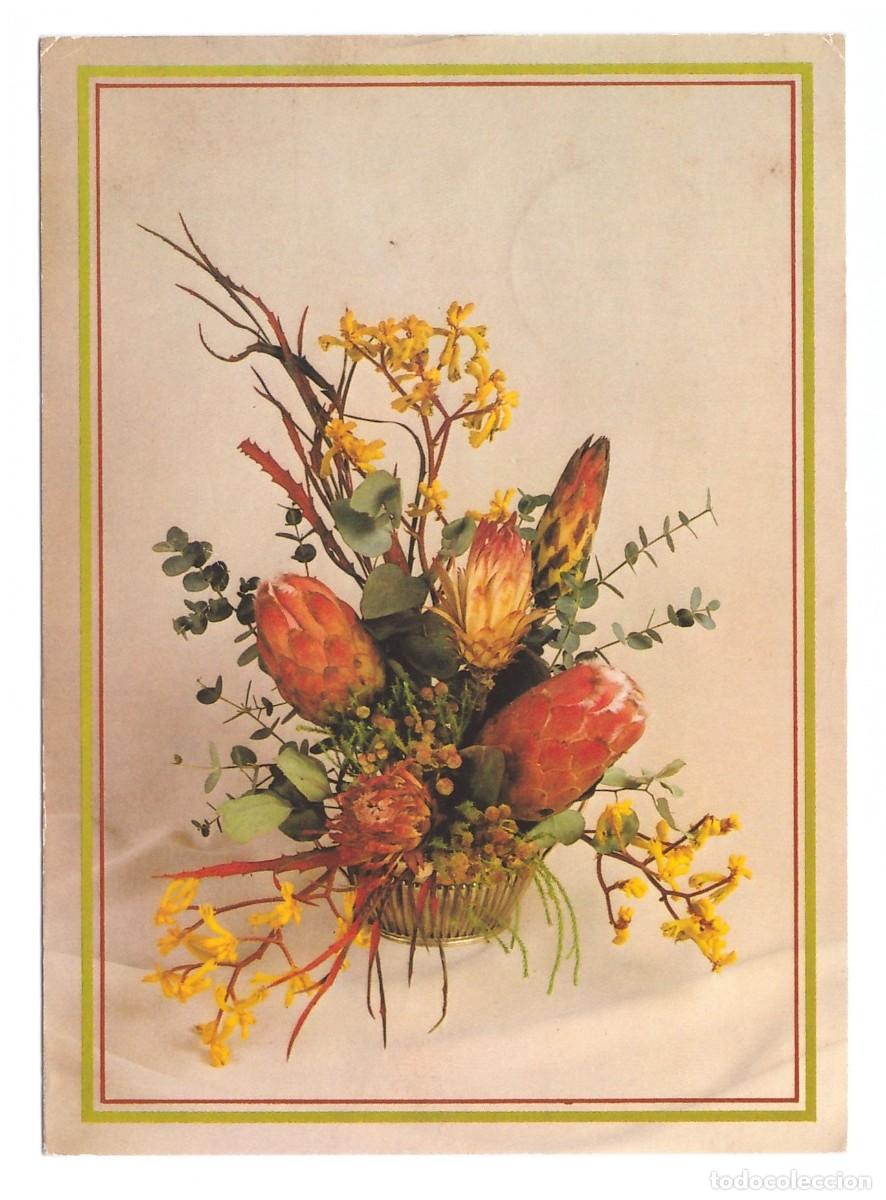Postales: Horn postcard. Printed in Germany. 1985. - Foto 1