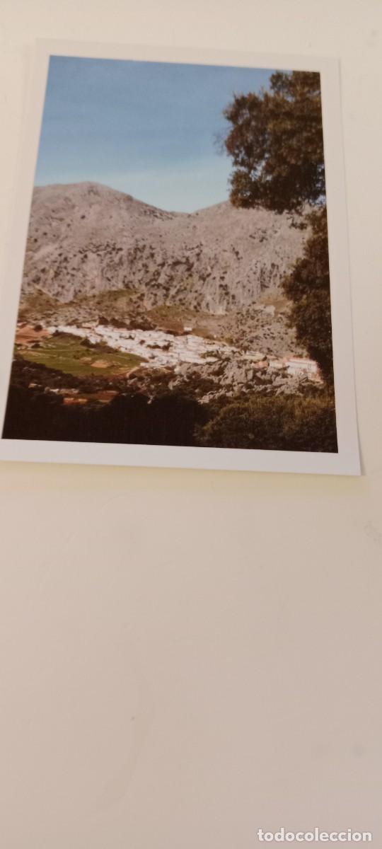 Postales: C-DUTTI EL DE FOTO POSTAL - Foto 1