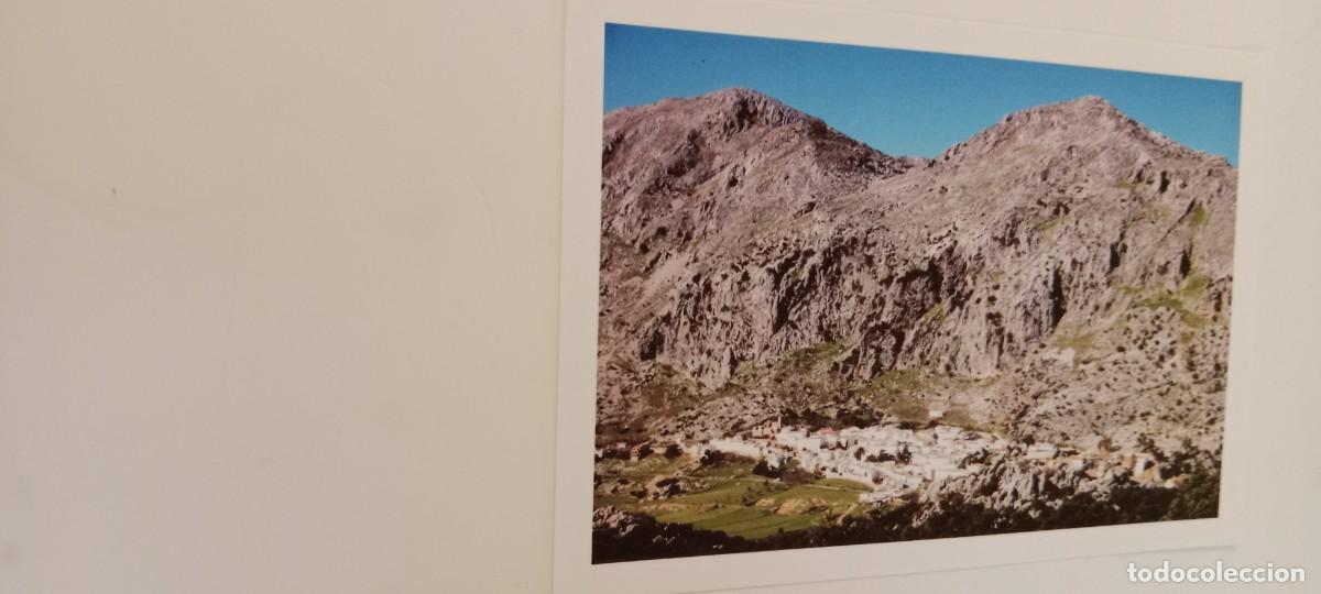Postales: C-DUTTI EL DE FOTO POSTAL - Foto 1
