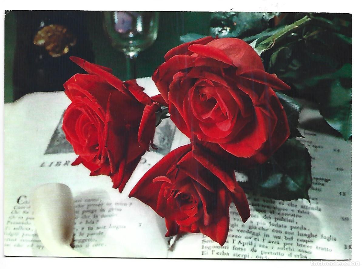 Postales: RAMO DE ROSAS ROJAS SOBRE LIBRO - Foto 1