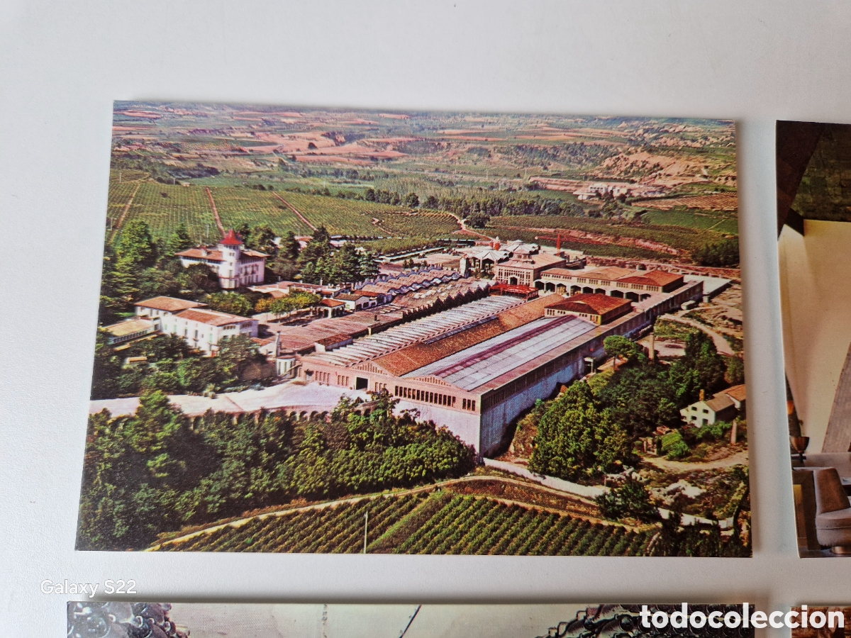 Postales: 8 tarjetas postales cava codorniu 1976 - Foto 3