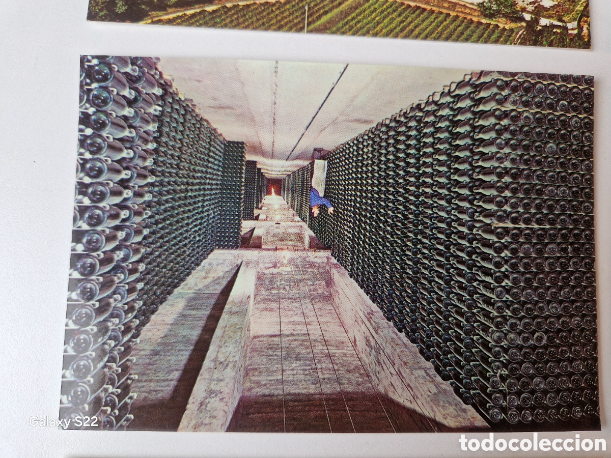 Postales: 8 tarjetas postales cava codorniu 1976 - Foto 4