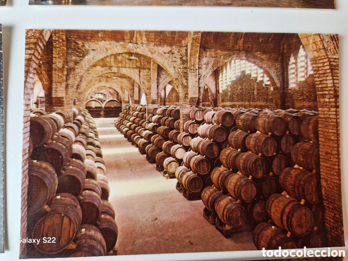 Postales: 8 tarjetas postales cava codorniu 1976 - Foto 7
