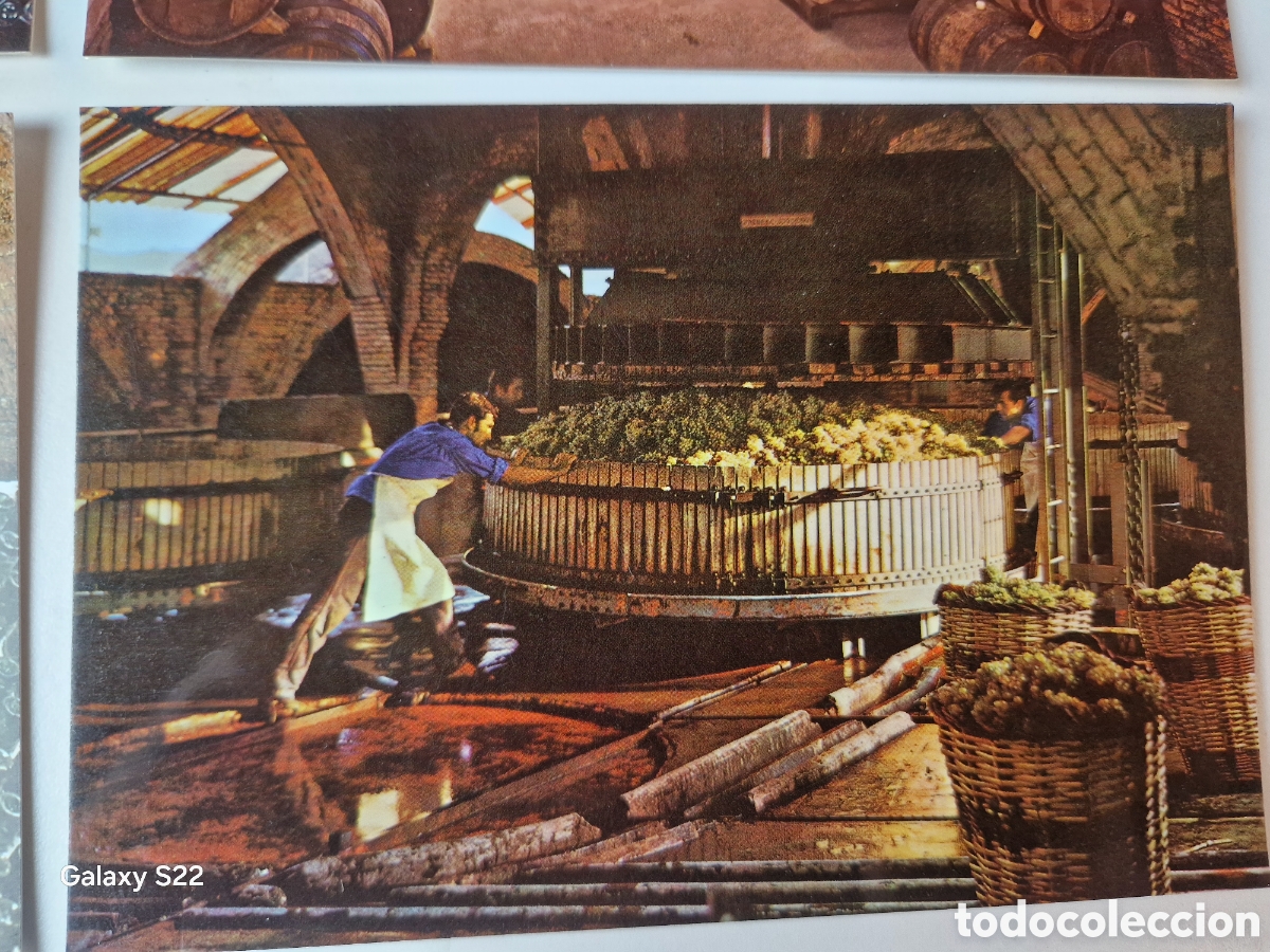 Postales: 8 tarjetas postales cava codorniu 1976 - Foto 8