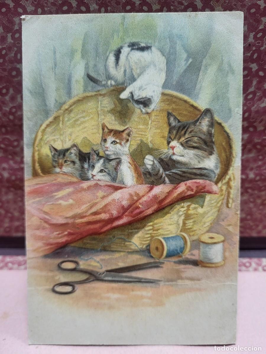 Postales: ANTIGUA POSTAL COMICA GATOS - Foto 1