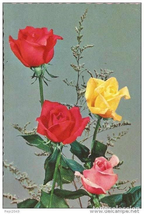 Postales: :::: VF743 - POSTAL - RAMO DE ROSAS - Foto 1