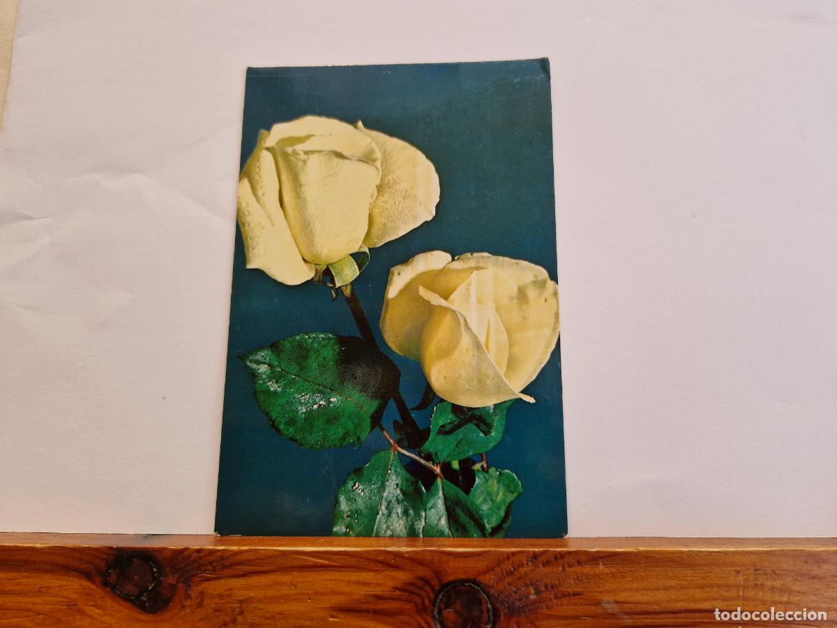 Postales: BONITA POSTAL CIRCULADA. FLOR - Foto 1