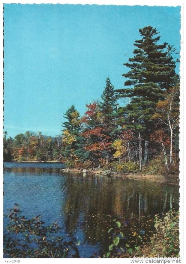 Postales: :::: PN772 - POSTAL - PAISAJE - Foto 1