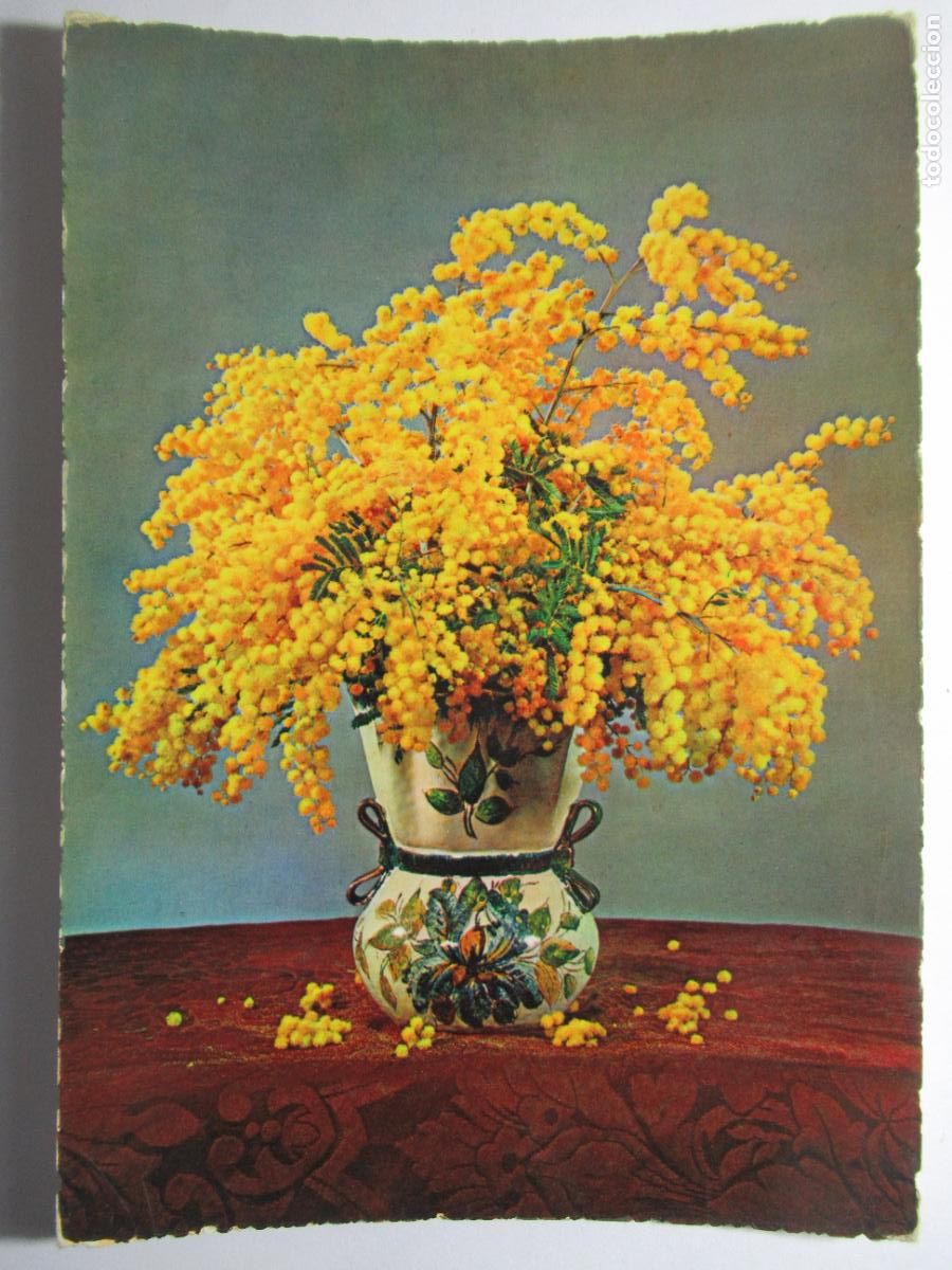 Postales: Postal Flor Planta - S/C - Foto 1