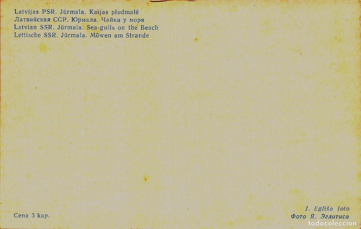 Postales: Postal Jūrmala (RSS Letona): Gaviotas Volando sobre la Playa y el Mar B&aacute;ltico - Foto 2
