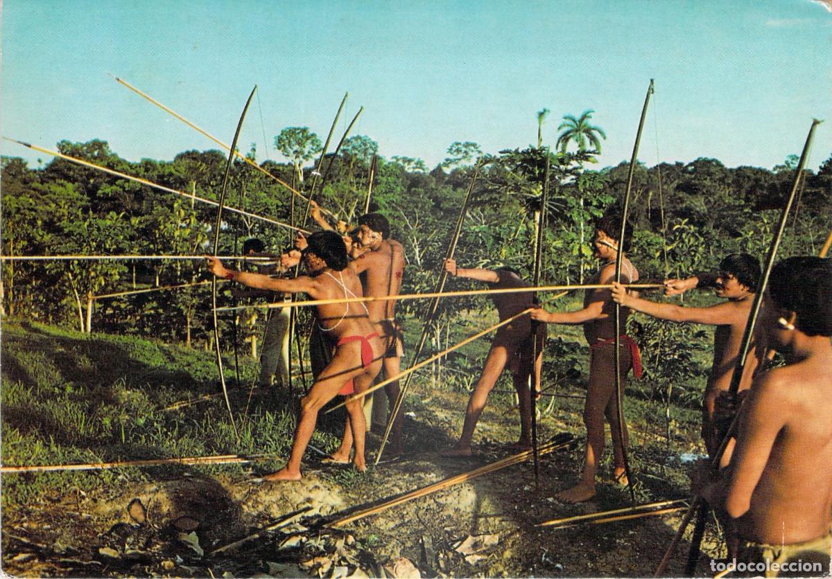 Postales: Postal Ind&iacute;genas de Venezuela en la Selva Amaz&oacute;nica con Arcos y Flechas - Foto 1