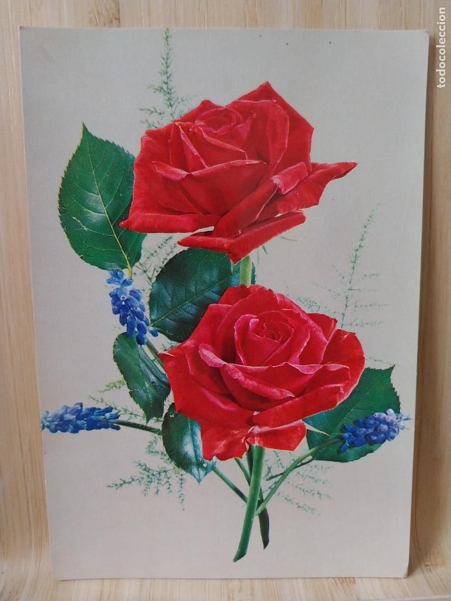 Postkarten: FLOR TARJETA FELICITACION ED CYZ 6932 CIRCULADA A&Ntilde;O 1969