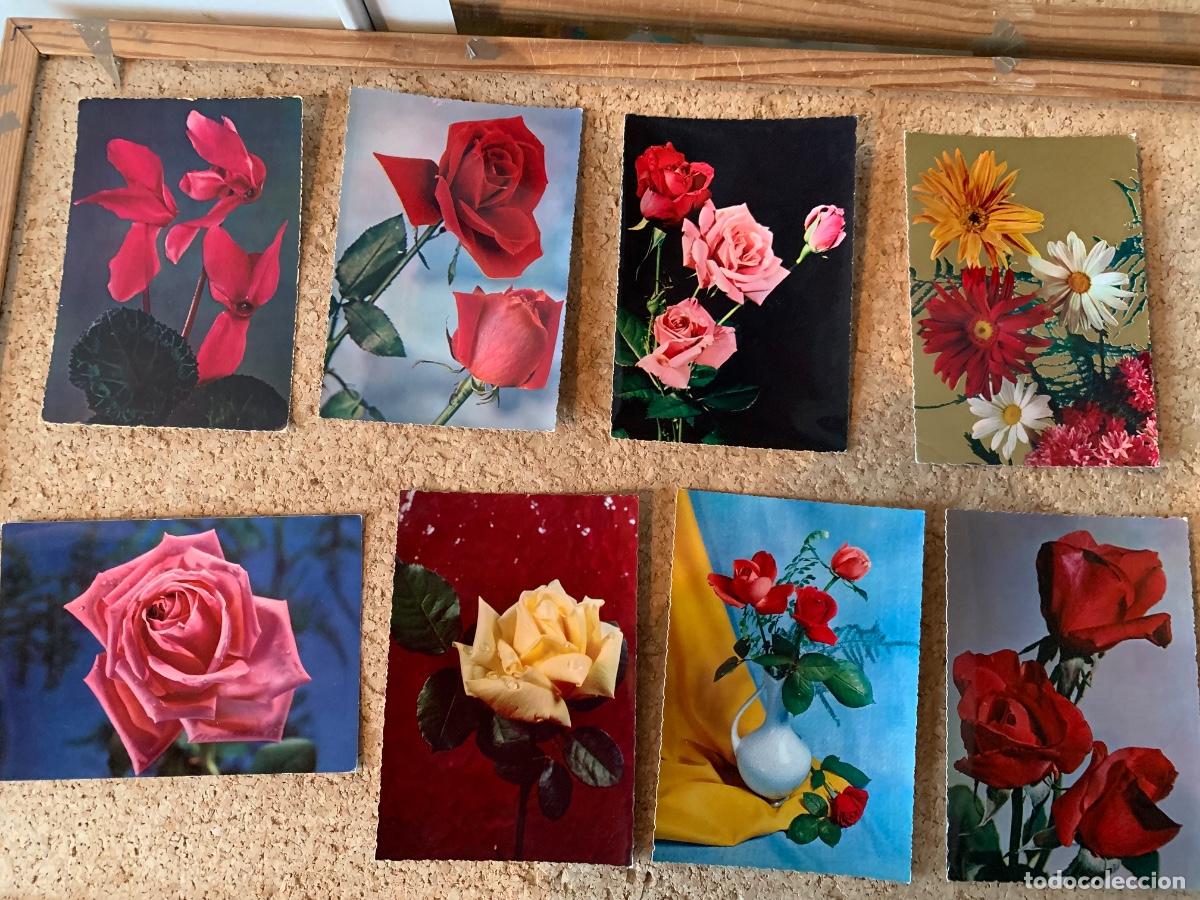 Postales: Lote de 20 postales de flores - Foto 1