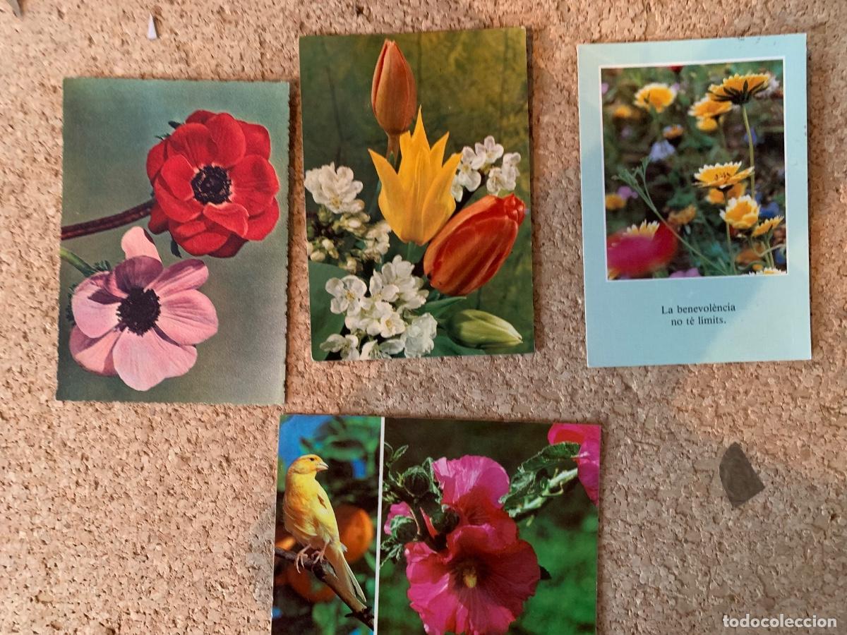 Postales: Lote de 20 postales de flores - Foto 3