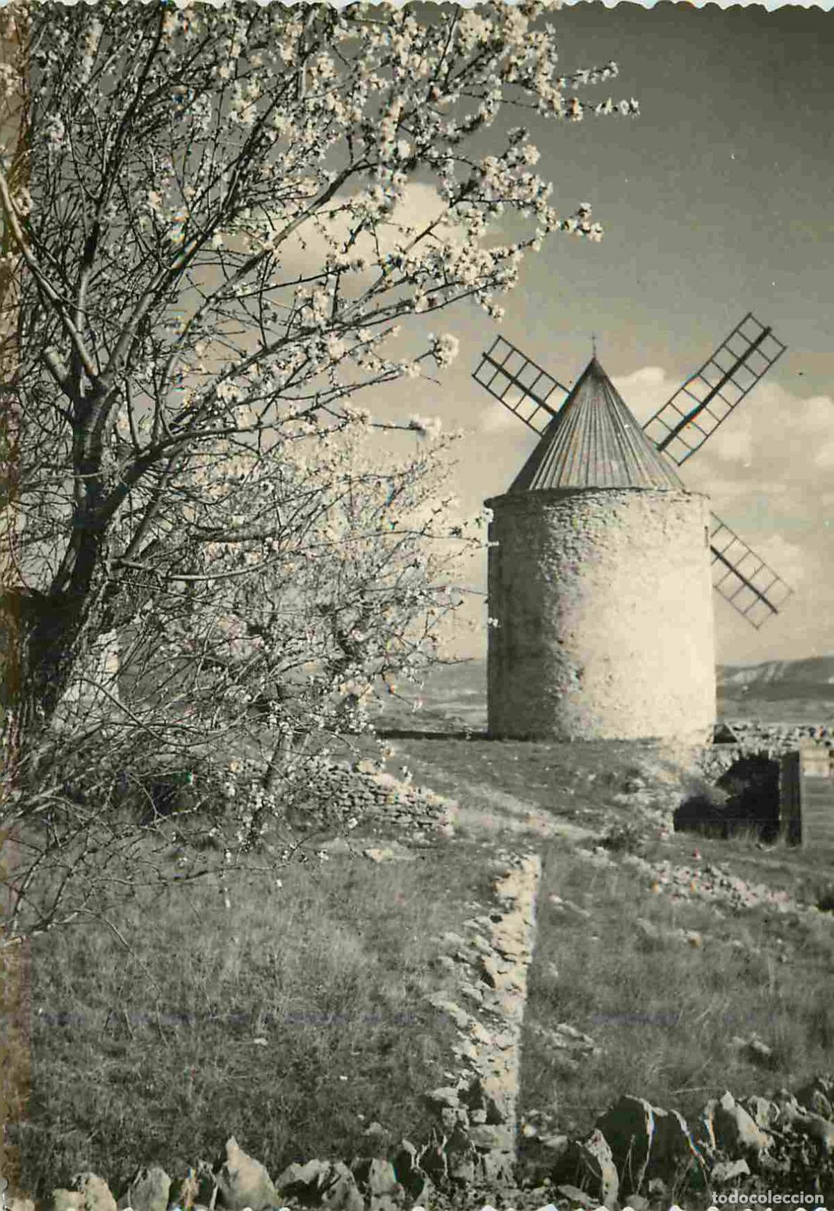 Postkarten: Carte Postale - Moulin &agrave; vent - Saint-Saturnin-l&egrave;s-Apt - Amandiers en fleurs et le Moulin - Mention