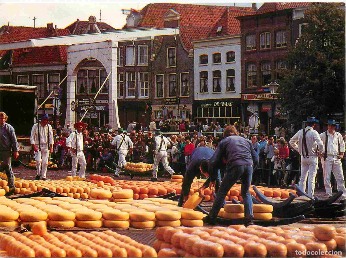 Postkarten: Carte Postale - Metiers - Fromager - Fromages - Fromagerie - Pays-Bas - Alkmaar kaasmarkt - CPM - Vo