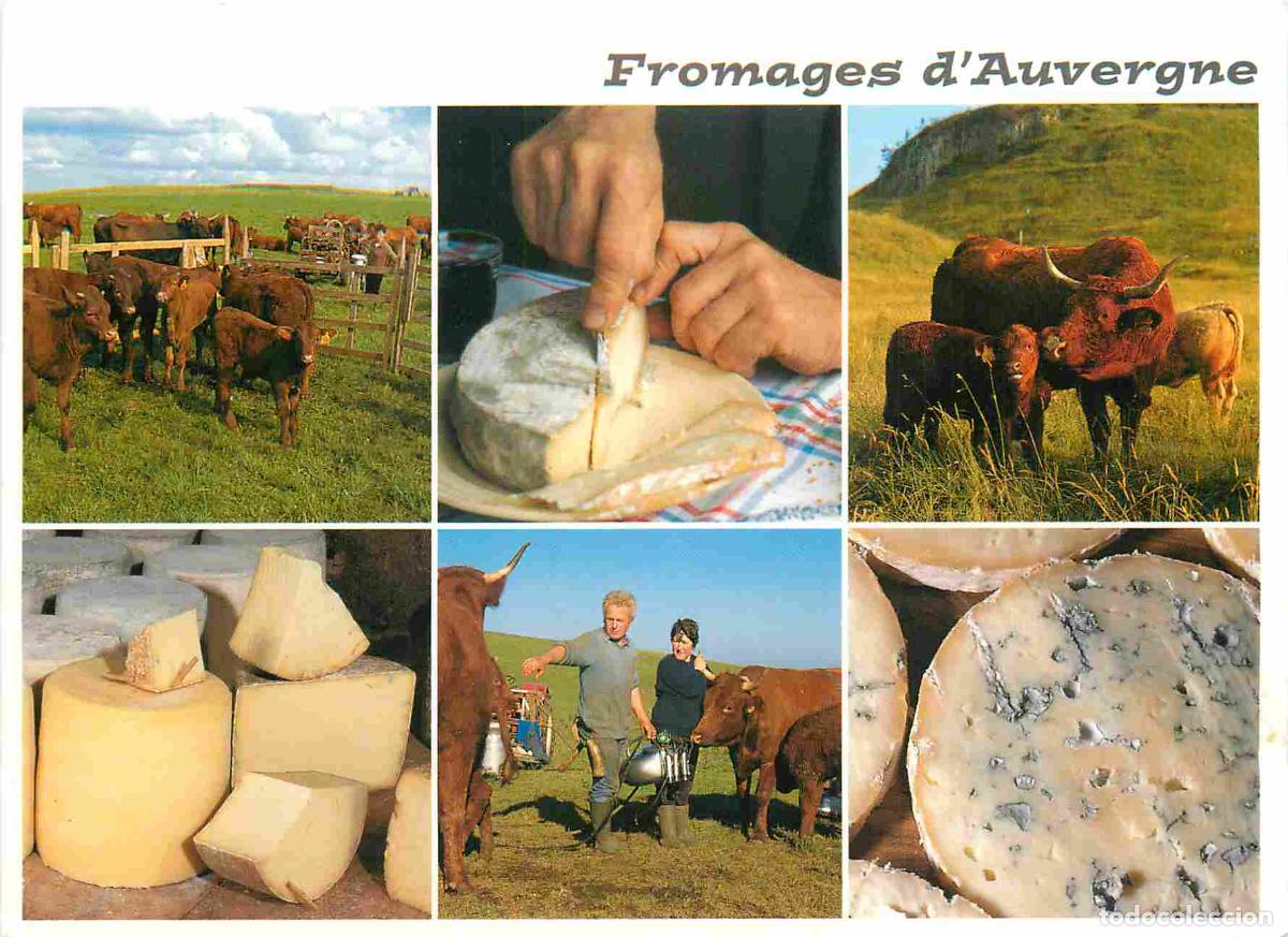 Postkarten: Carte Postale - Metiers - Fromager - Fromages - Fromagerie - Fromages d'Auvergne - Multivues - le sa