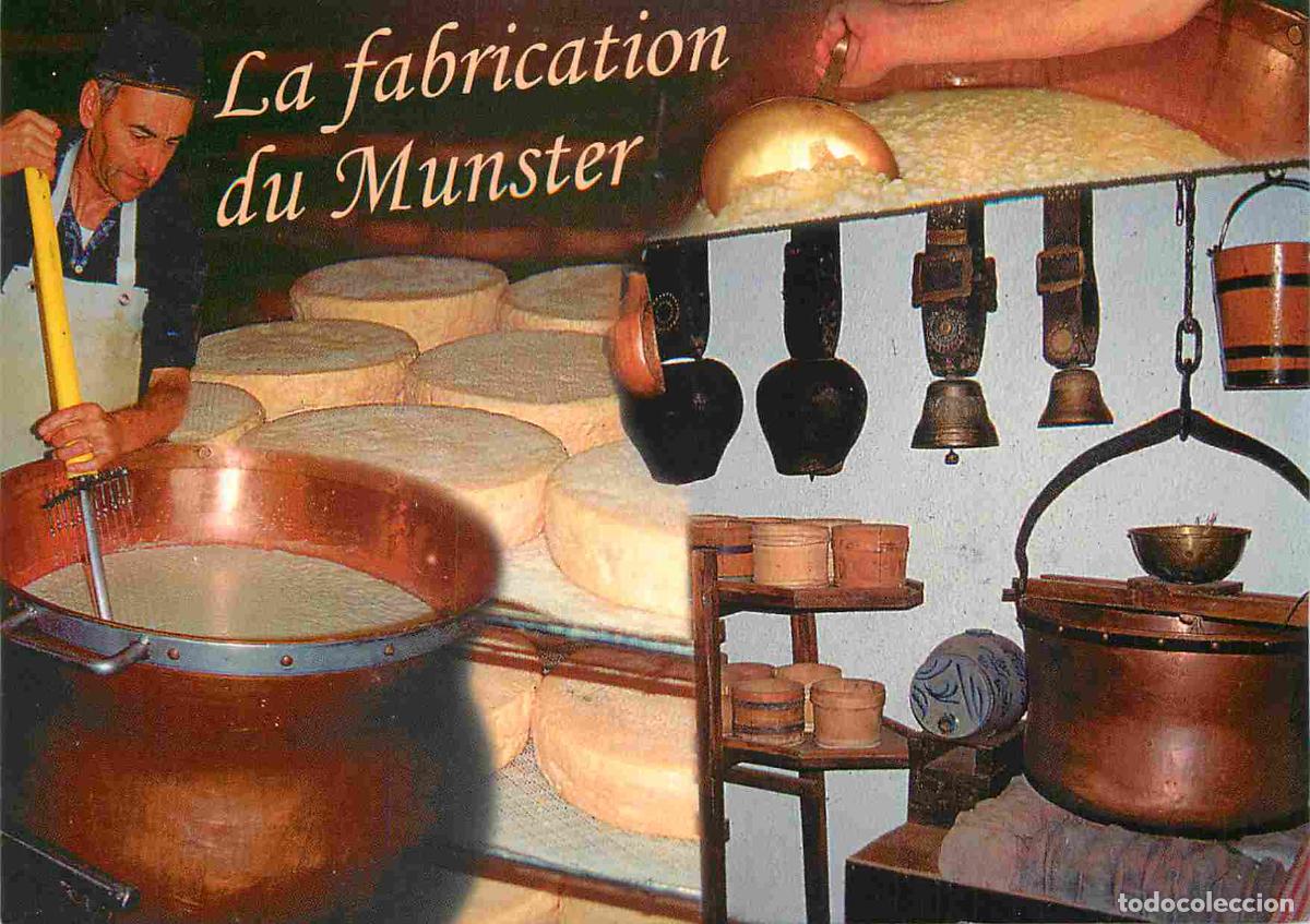 Postkarten: Carte Postale - Metiers - Fromager - Fromages - Fromagerie - La Fabrication du Munster - Multivues -