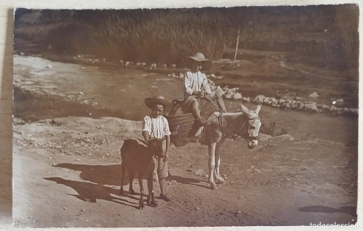 Postales: ANTIGUA POSTAL DE NI&Ntilde;OS EN BURRO - Foto 1