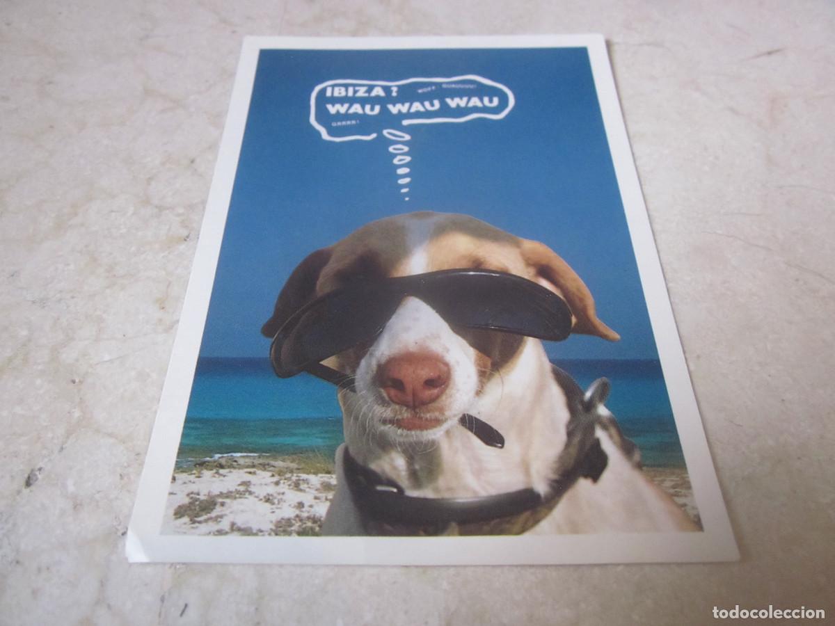 Postales: POSTAL IBIZA COCO LOCO - 1987 - Foto 1
