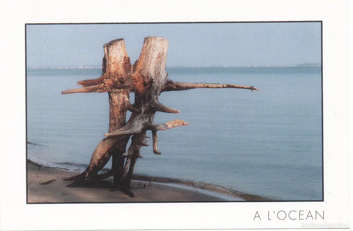 Postales: Postal del Oc&eacute;ano-Romance de Verano-sin circular- - Foto 1