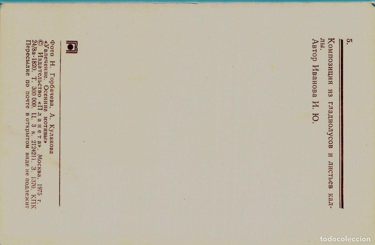 Postales: Postal con Arreglo de Gladiolos y Hojas de Cala - Foto 2